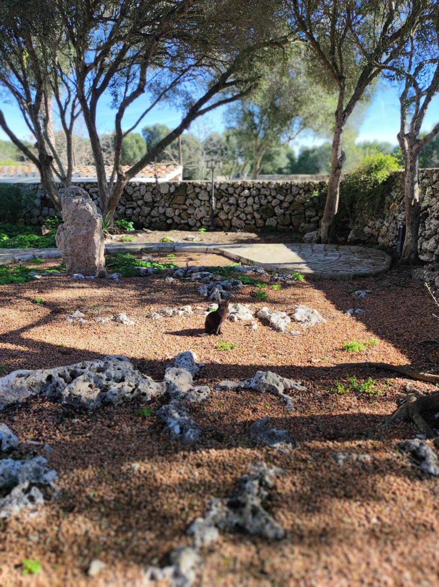سانت يويس Turismo Rural Biniati Des Pi المظهر الخارجي الصورة