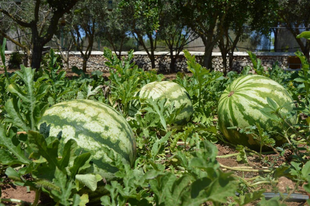 سانت يويس Turismo Rural Biniati Des Pi المظهر الخارجي الصورة