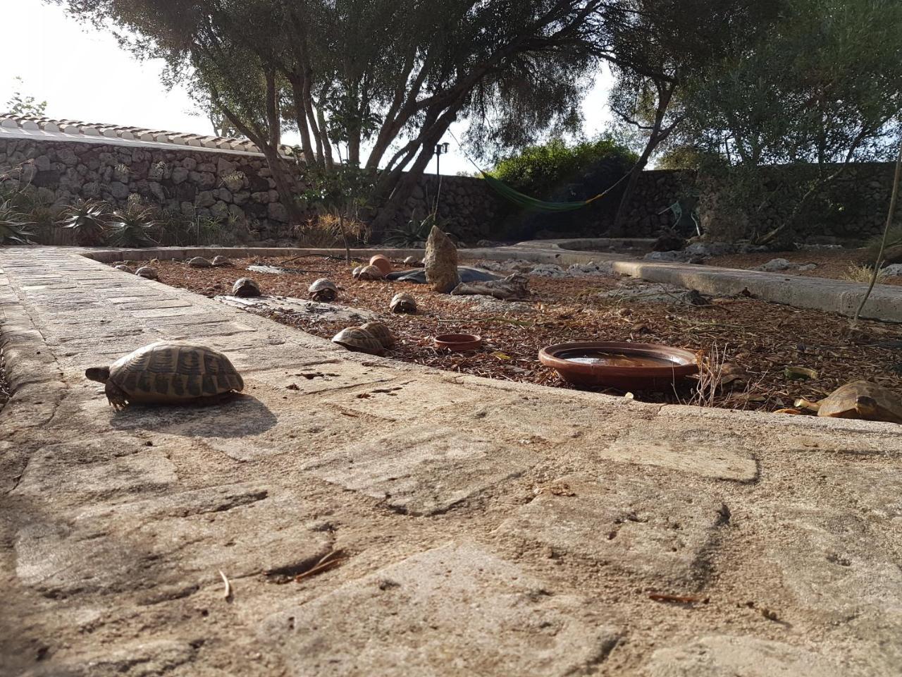 سانت يويس Turismo Rural Biniati Des Pi المظهر الخارجي الصورة